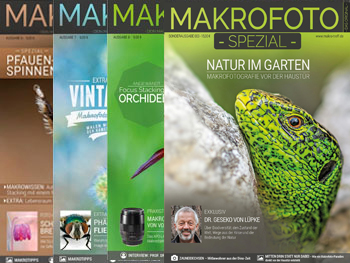 Vier übereinanderliegenden Cover von MAKROFOTO, zuoberst die Ausgabe "Natur im Garten" mit einer Zauneidechse (c) Roland Günter